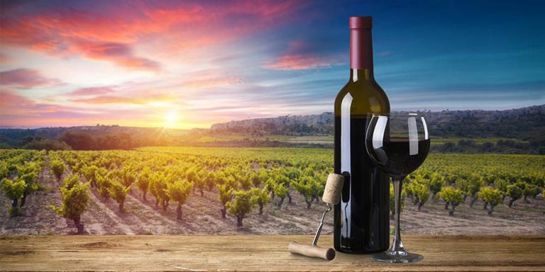 tuscany wine 768x384