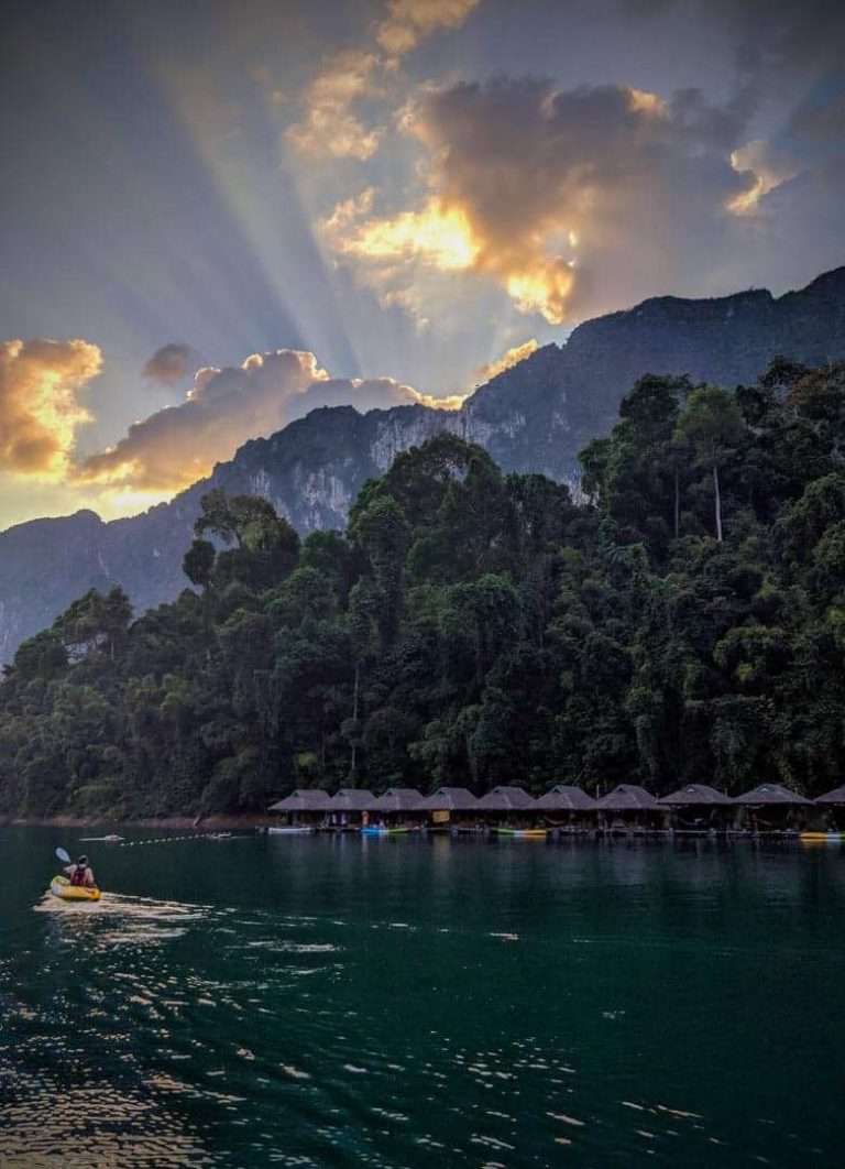 0D985EC6 7983 46E1 8091 9487C134491A 768x1062