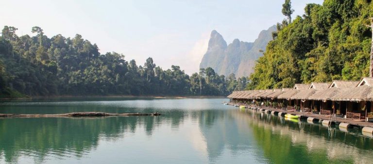 BE8A86BB 899C 4300 B8FF FEDD69981D76 768x337