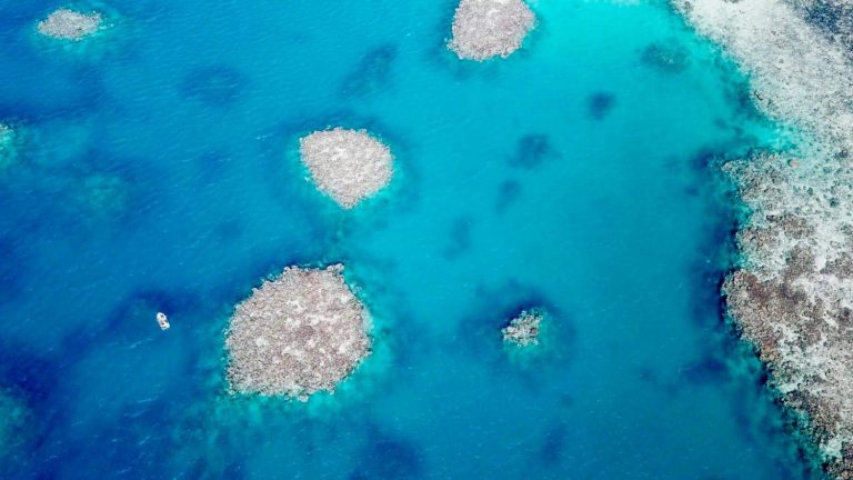 IMG 20190711 WA0020 768x432