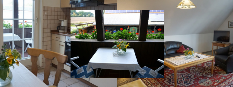 Schroeder Collage 2 768x286