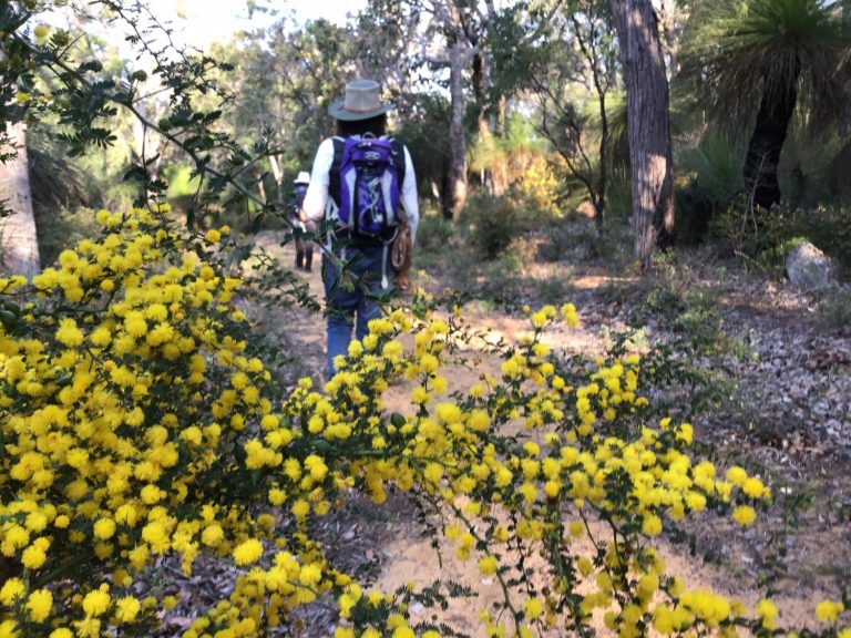 The Creativity Retreat 2019 Sept 146 768x576