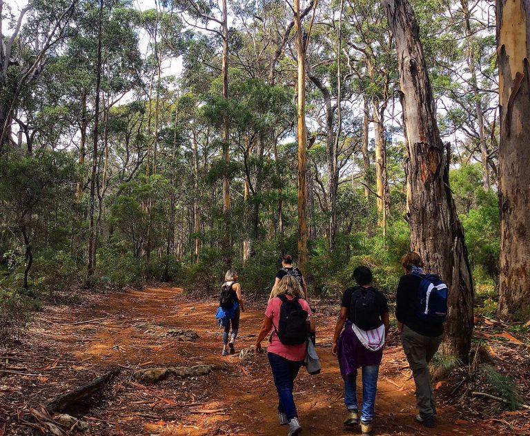 Womens Walking Writing Weekend 2019 22 768x633