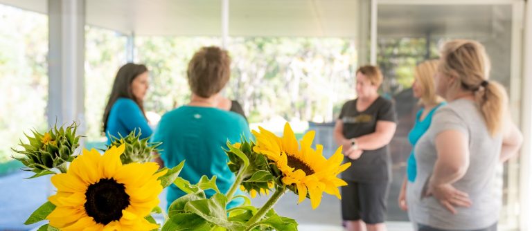 The Creativity Retreat The Creativity Retreat