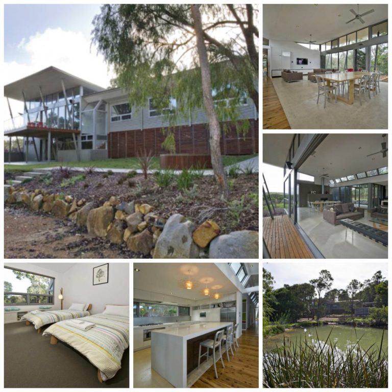 frog choir collage elegant 768x768