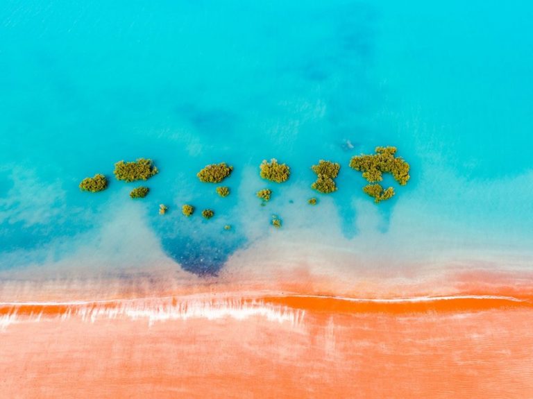 roebuckbaymangrove 1200x1200 1024x767 1 768x575