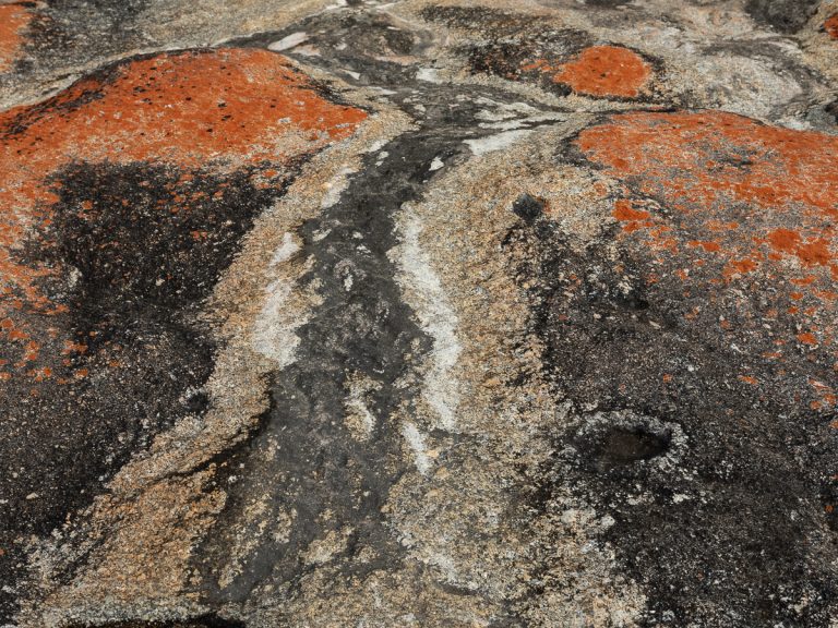 Vibrant colours and impressive textures of lichen-stained coastal boulders Vibrant colours and impressive textures of lichen-stained coastal boulders