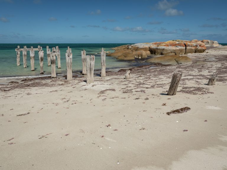 Lillies Bay Lillies Bay