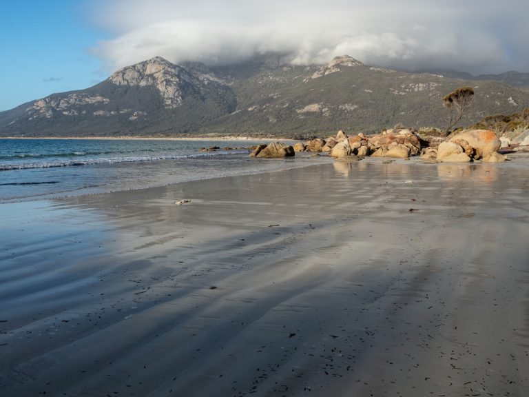 Trousers Point Trousers Point