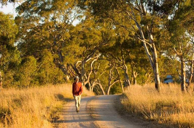 john walking 133 768x510