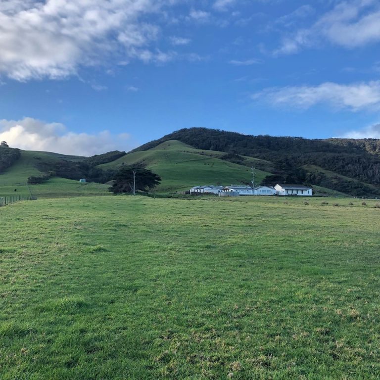 69822689 10162188537285273 4000377159909638144 n 768x768