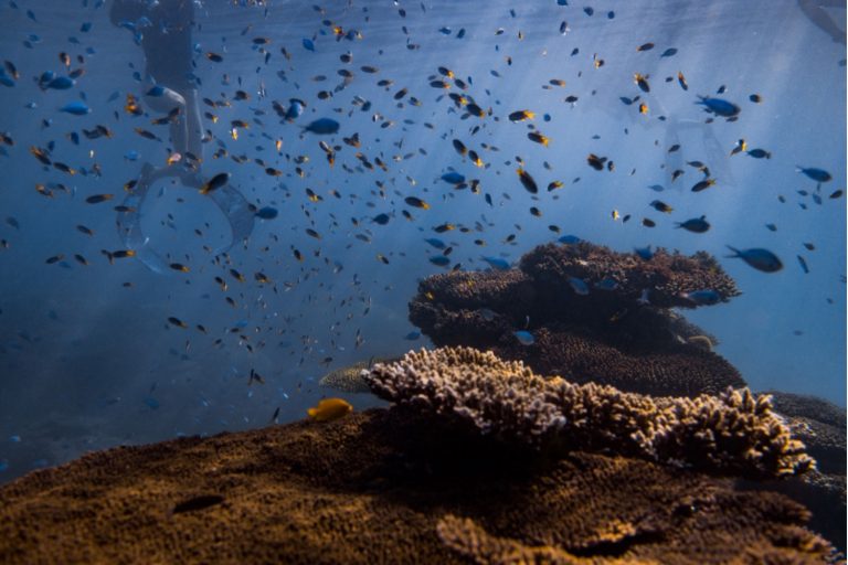 Retreats on the Ningaloo Reef 4 768x512