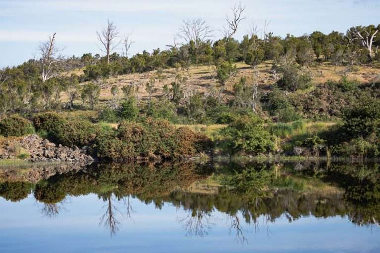 australia central highlands dam derwent valley dew rivulet farm historic site landscape rathmore reflections rural sheep farm tasmania waterway Rathmore Farm Derwent Vall 768x512