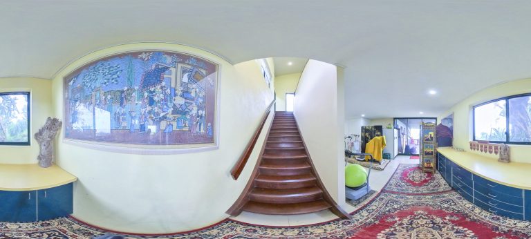 D Back steps 768x346