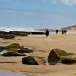 Wellbeing Health Retreats