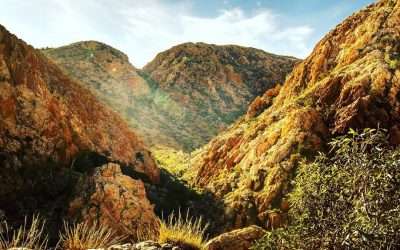 Larapinta Trail Experience – Jigsaw Travel Women’s Retreat