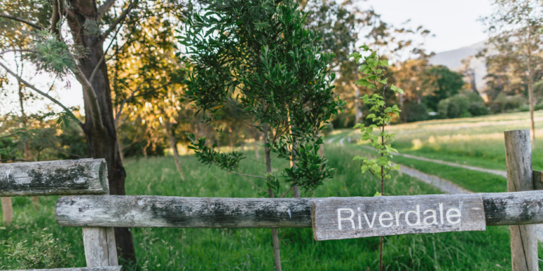 Master Images Aligned Living 13 768x384