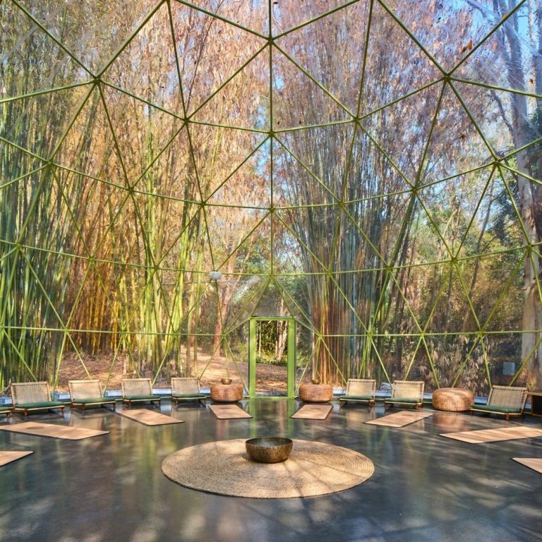 SOMA WEB 08 2000x2000 768x768