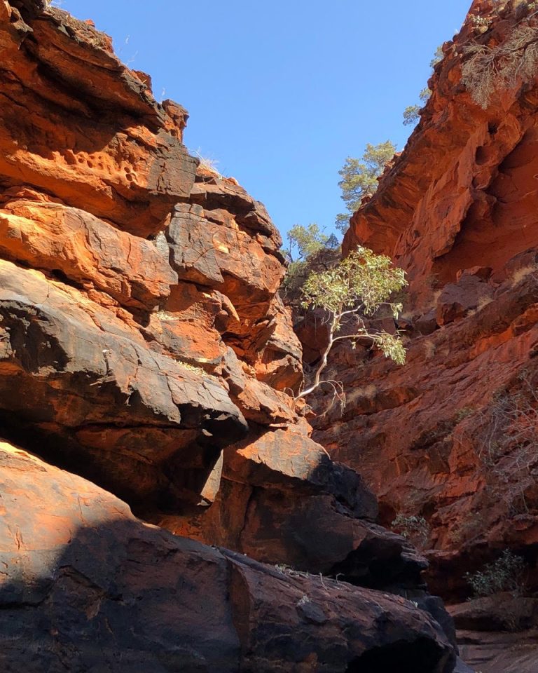 accompanied adventures retreat me happy 1 768x960