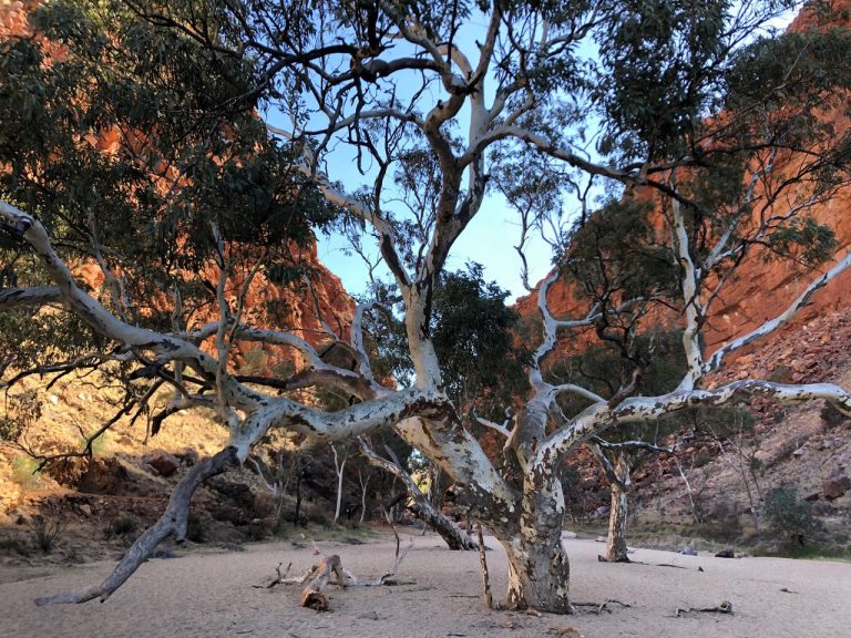 accompanied adventures retreat me happy 3 768x576