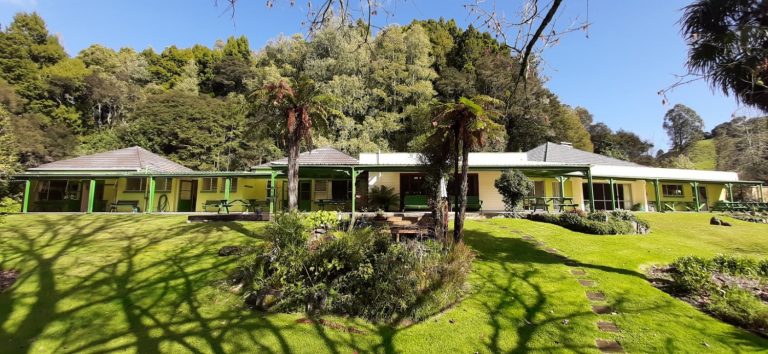 Waitetuna Raglan 768x354