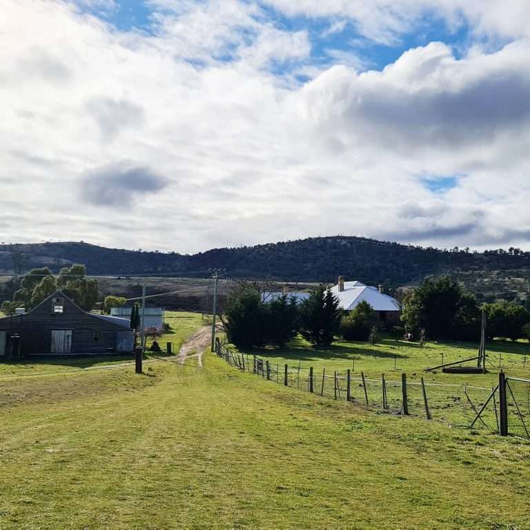 IMG 20210614 210653 018 768x768