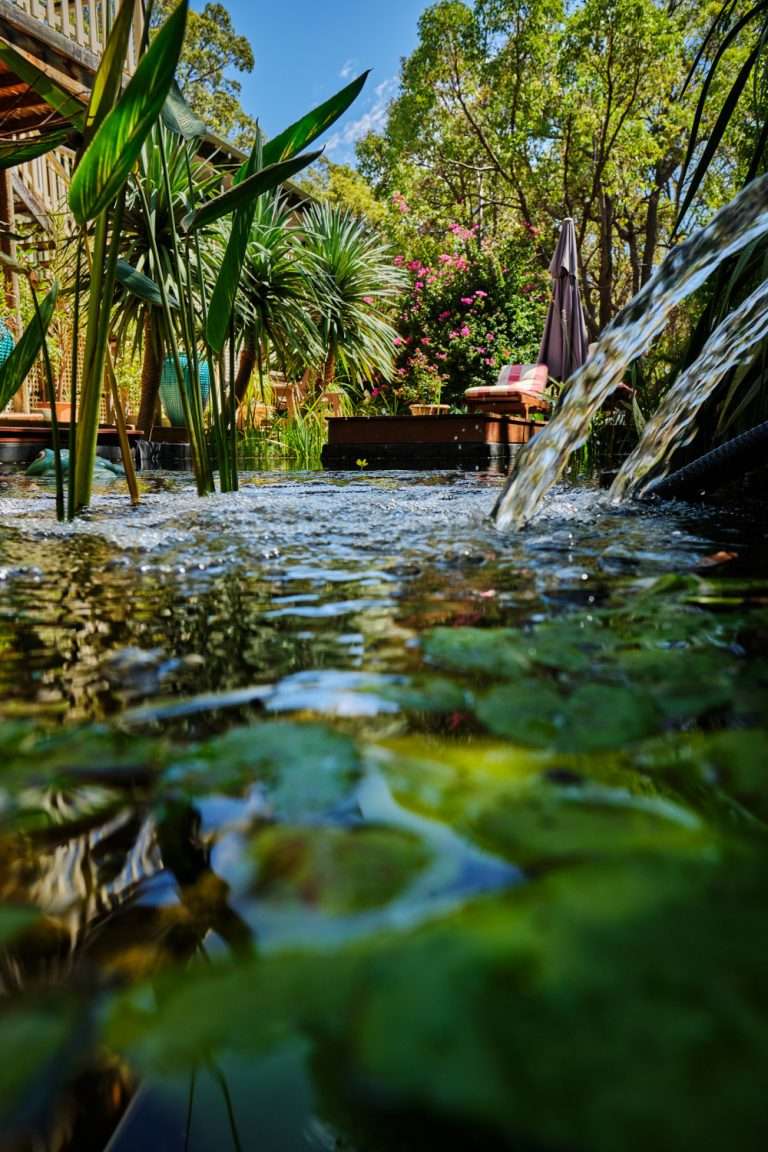 Spyrides Kyle Soul.Gazing.Health.Wellness.Perth .Photographer 11.3.2020 DSF0279 768x1152