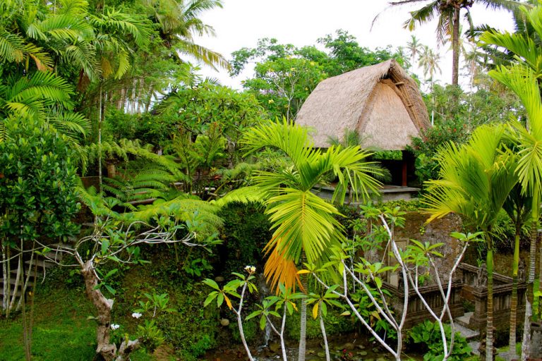 Natural Instinct Healing Retreat Centre Retreat Me Happy 768x512