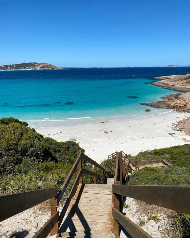 262819779 642930696879606 504253721636217512 n 768x960