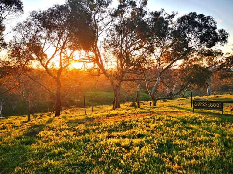 SUNRISE TH JUNE 2020 768x576