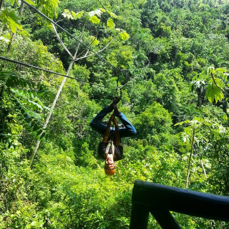 13254433 546485638846373 4804622722460383926 n 768x768