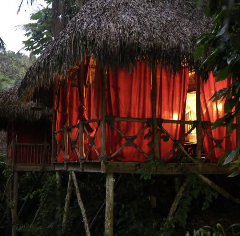 4 6 2022 5 05 11 PM 768x755