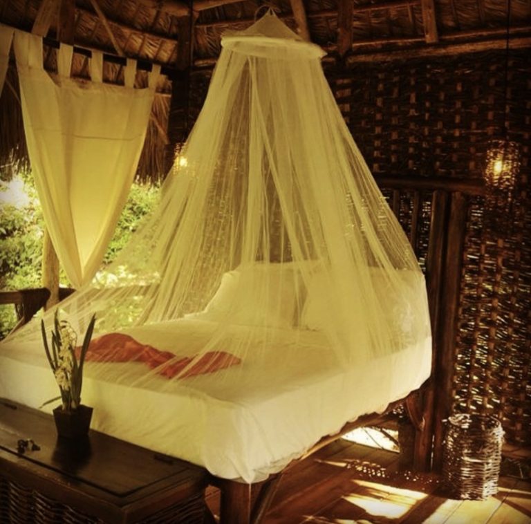 4 6 2022 5 10 18 PM 768x758