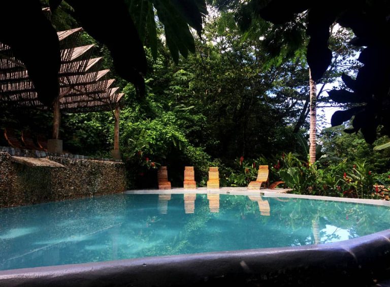 Dominican tree house 7 768x565