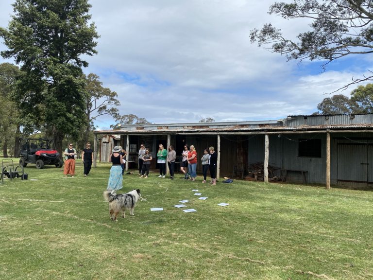 2F1333F3 1BCF 421E 9151 6B45C44EB946 768x576