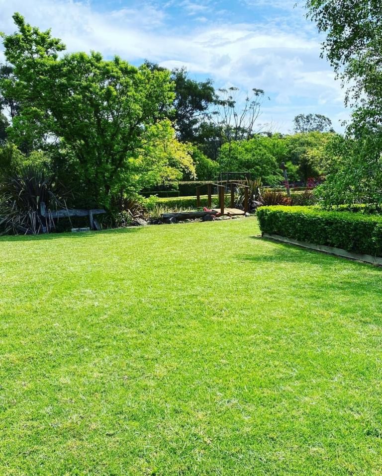 3E67F45E B83C 45A3 A880 DCE7DD9BC5B2 768x958