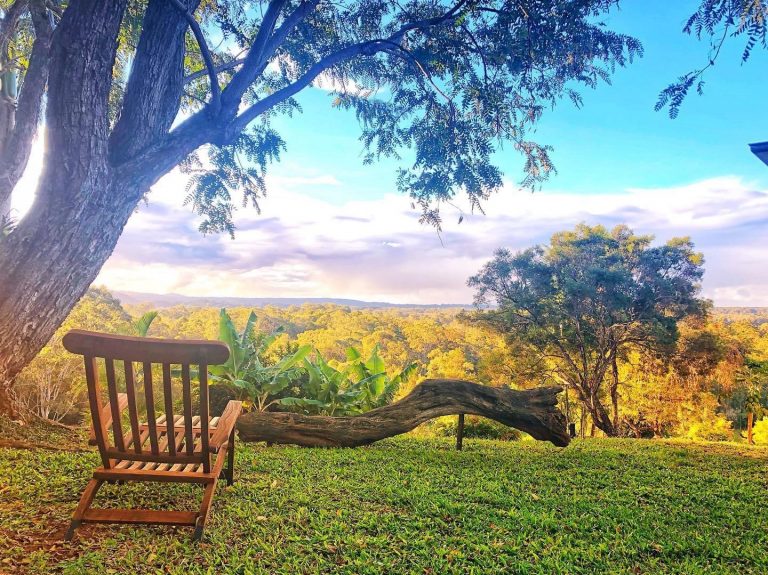 Photo 22 9 21 11 00 45 am 768x575