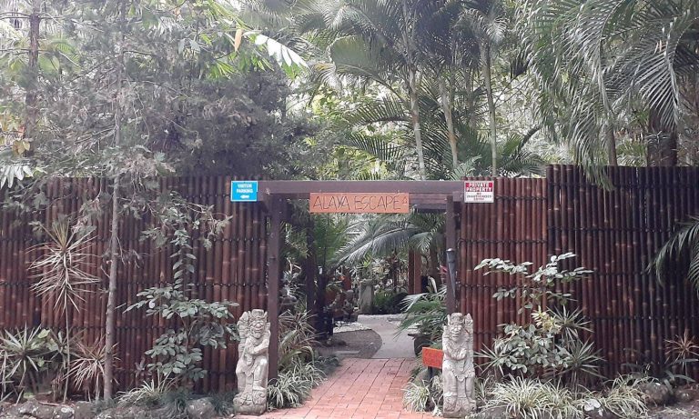 Alaya Escape Guest Entrance3 768x461