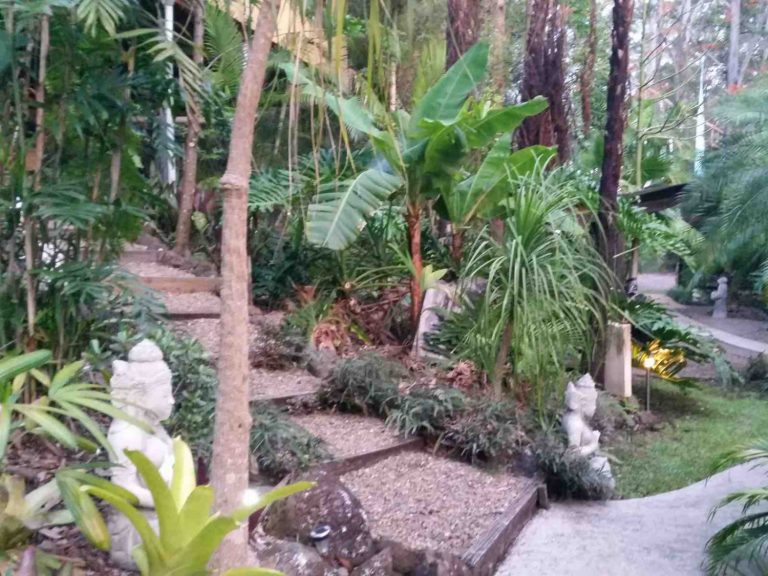 Alaya Escape grounds 768x576