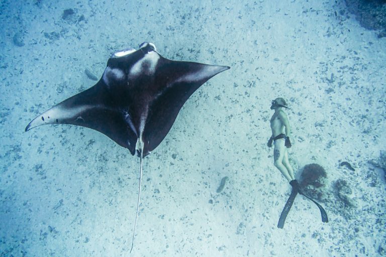 Copy of WIL01403 768x512