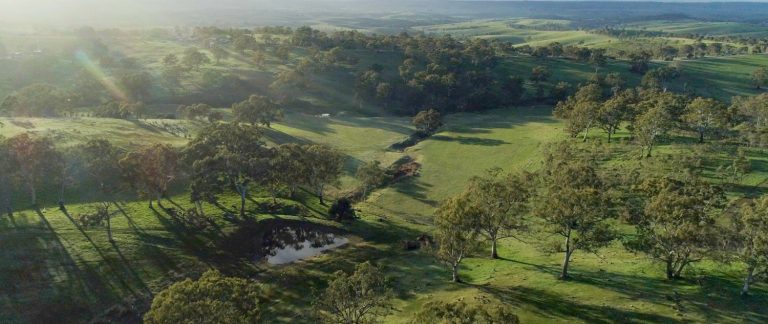 Sequence 01.00 00 40 24.Still002 aerial green tara hills LIGHTENED 1 768x324