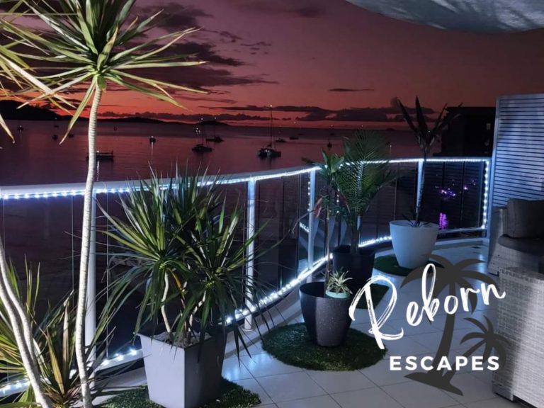 marina shores 768x576