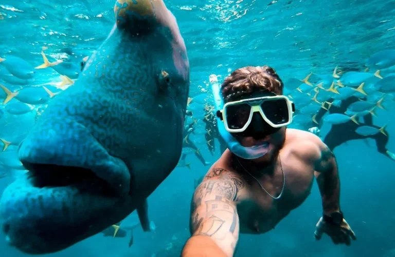 tongarra day sail 4 768x501