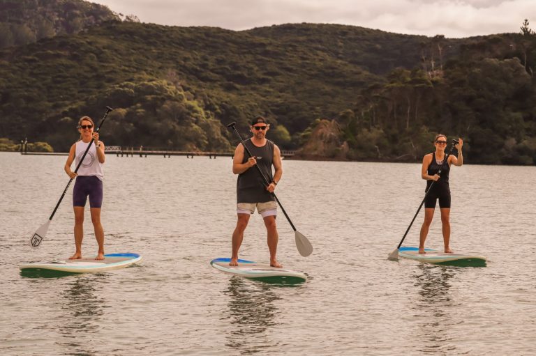 2b5541dc 5bc6 4927 84be 88ef59e703e5 1 768x511