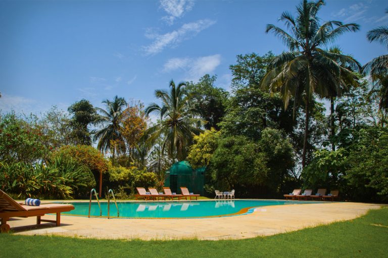Kairali Pool 768x512