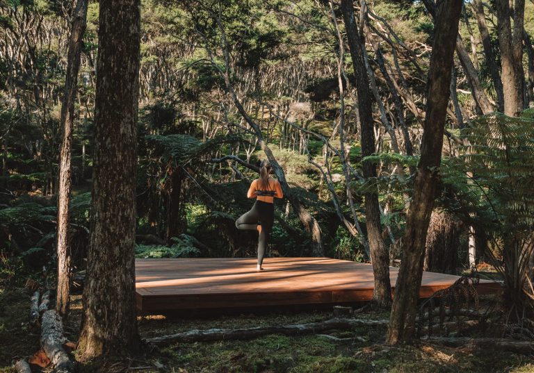 Yoga platform 768x537