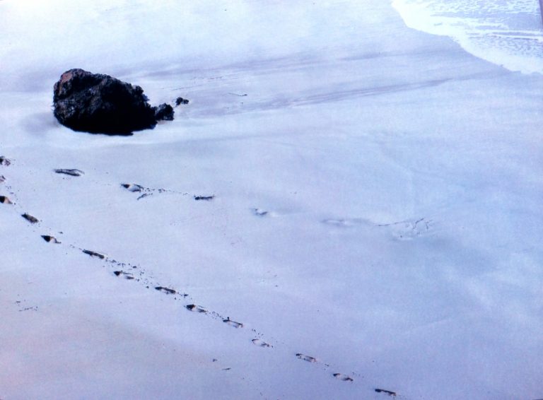 footsteps in the sand 768x566