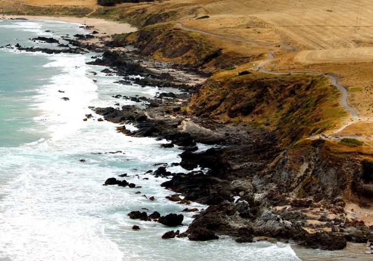 kings head walk 2 768x538