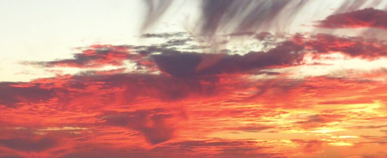 sunset in paradise 768x313