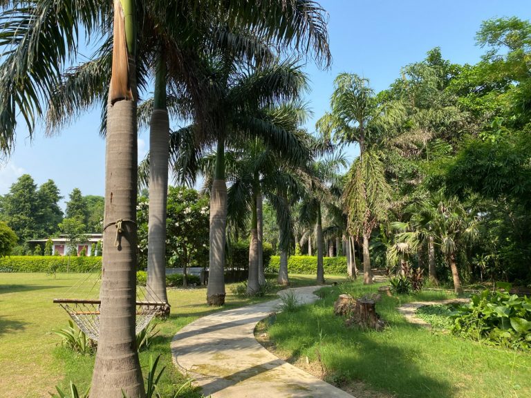 walkingg path 1 768x576